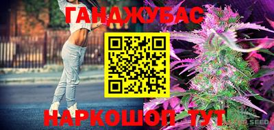 молекула духа Бийск
