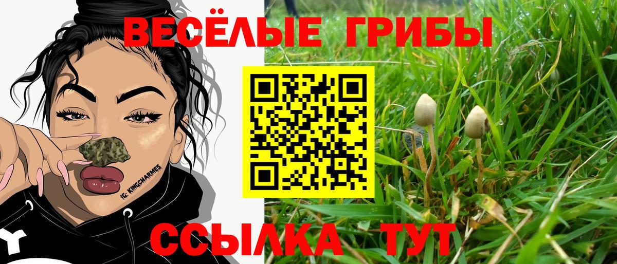 Белогорск  Псилоцибиновые грибы мухоморы  Вход с VPN 